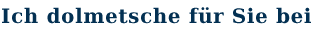 Ich dolmetsche für Sie bei